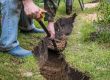 Drainage,Ditch.,A,Man,Is,Digging,A,Ditch.,Laying,A